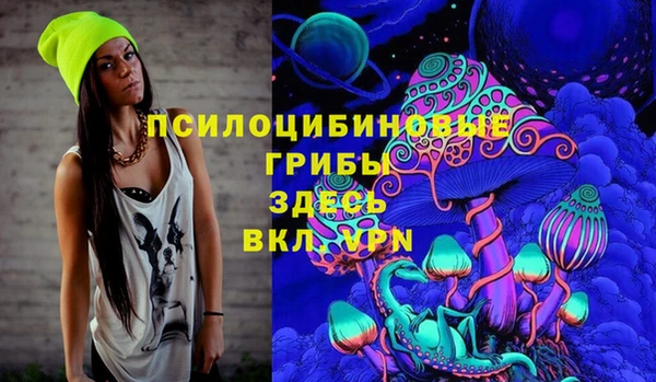 тгк Аркадак